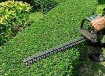ACE Landscaping